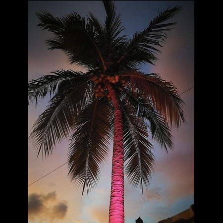 La Palmera Hostel 埃斯孔迪多港 外观 照片