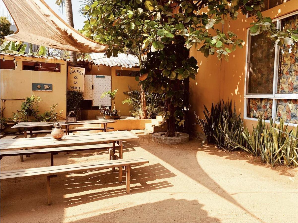 La Palmera Hostel 埃斯孔迪多港 外观 照片