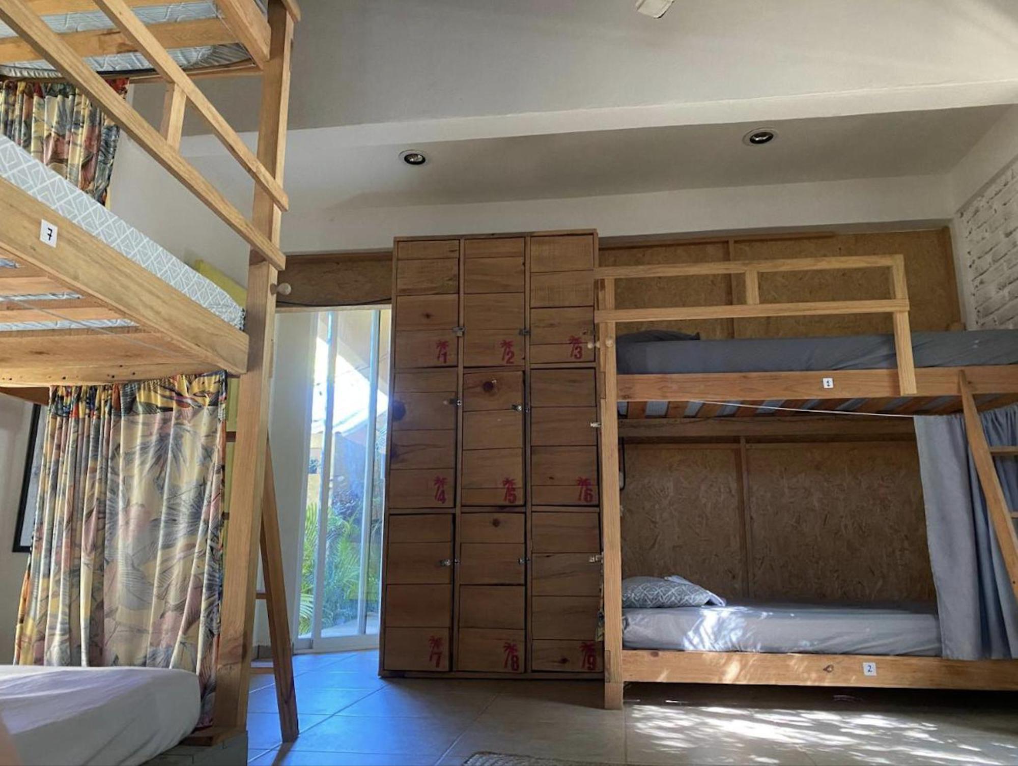La Palmera Hostel 埃斯孔迪多港 外观 照片