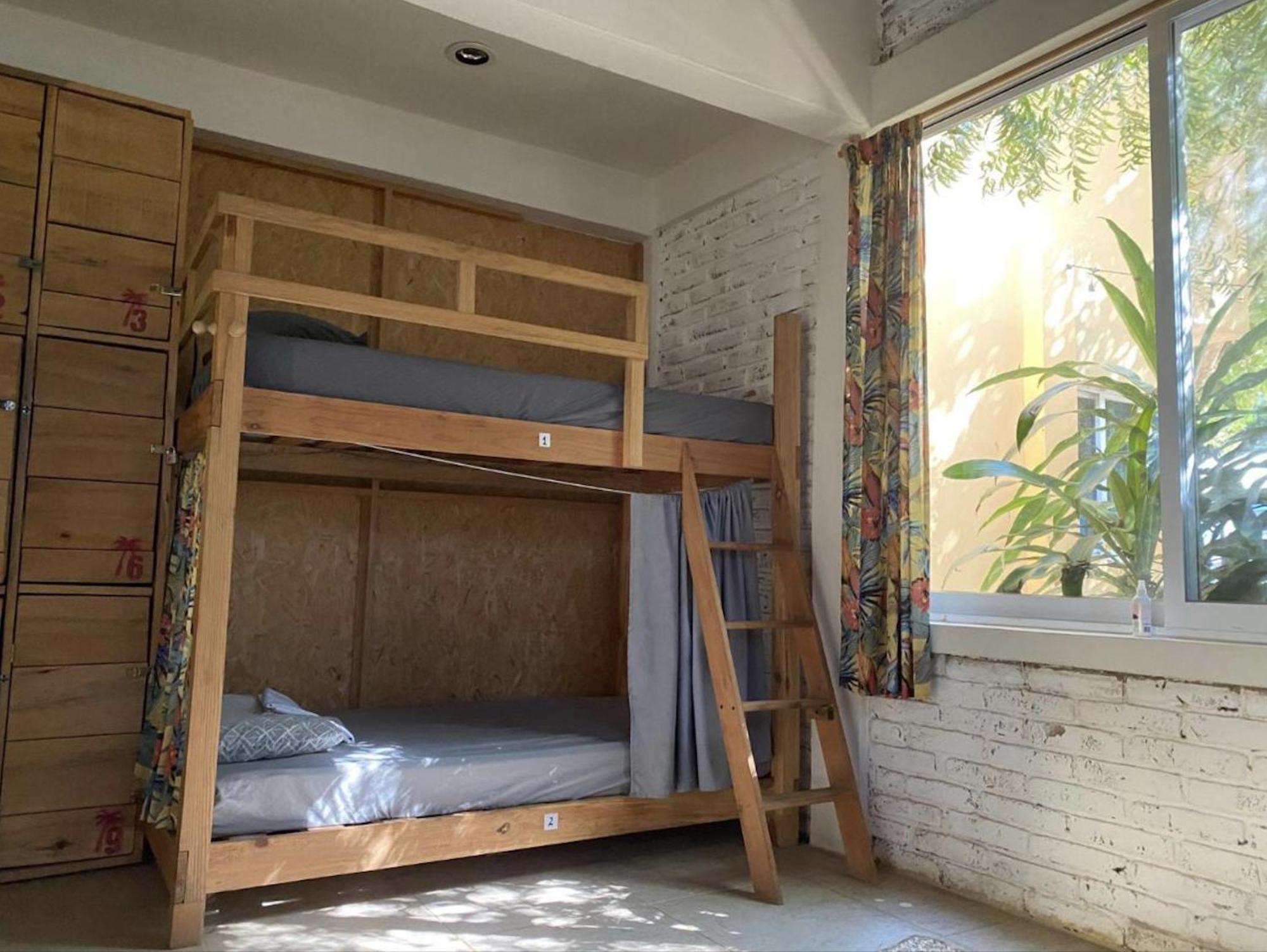 La Palmera Hostel 埃斯孔迪多港 外观 照片